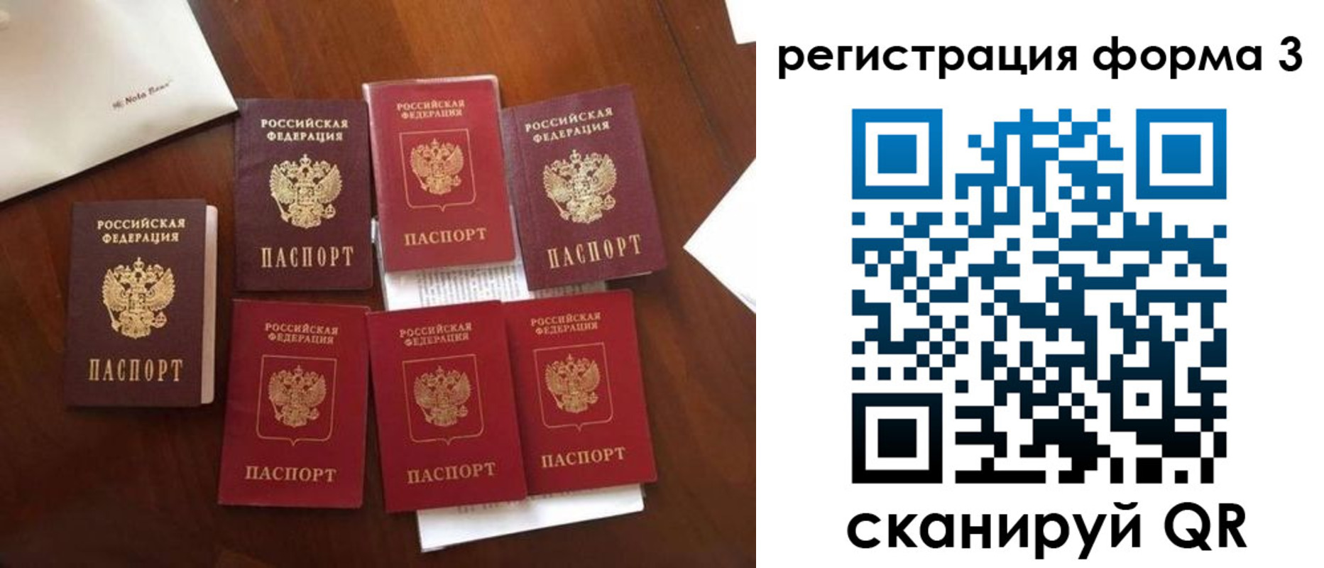 прописка в Светлогорске