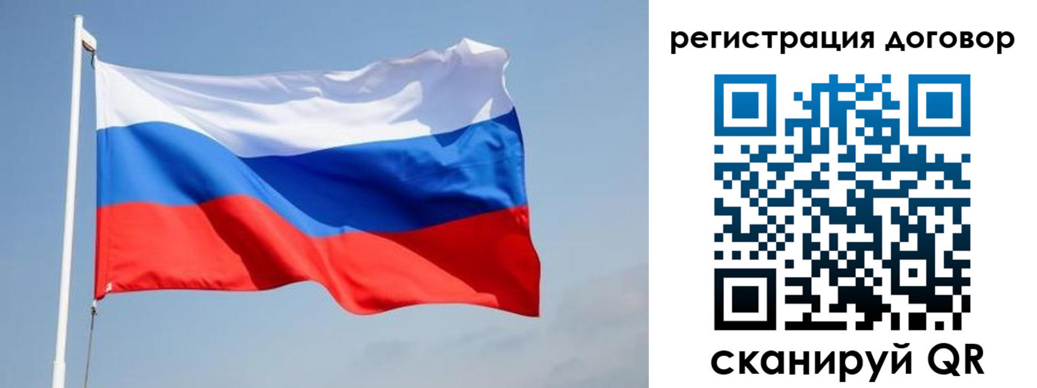 временная регистрация поиск в Светлогорске